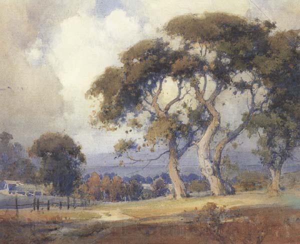 unknow artist Oaks in a California Landscape